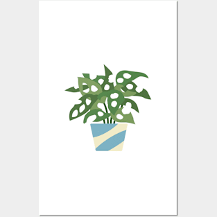 Monstera Plant Posters and Art